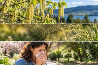 Allergie au pollen par saison et symptômes à surveiller
